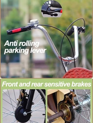 3-Wheel Cruiser Bike with Spoked Wheels, Rear Passenger Seat, Cargo Carrier, Dual Brakes, Folding Pedal Assist Trike for Men & Women, Front Suspension, Dual Chain Drive