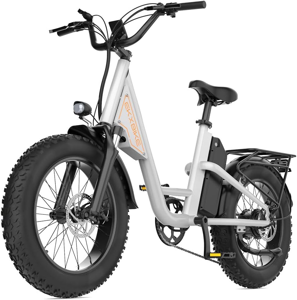 EKXBIKE T1 Electric Bike for Adults 48V 20AH Lithium Battery 1000W Off Road Snow Urban Commuter Electric Bicycle, 30MPH,Shamano 7-Speed, 20' Fat Tire Electric Dirt Bike for Adults