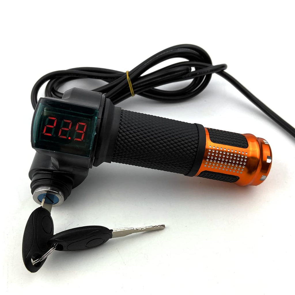Tricycle Motor for Adults, Cargo 3 Wheel Bicycle, Brushed Gear, 450W, 24 in (36V 450W 31mm Adapter)