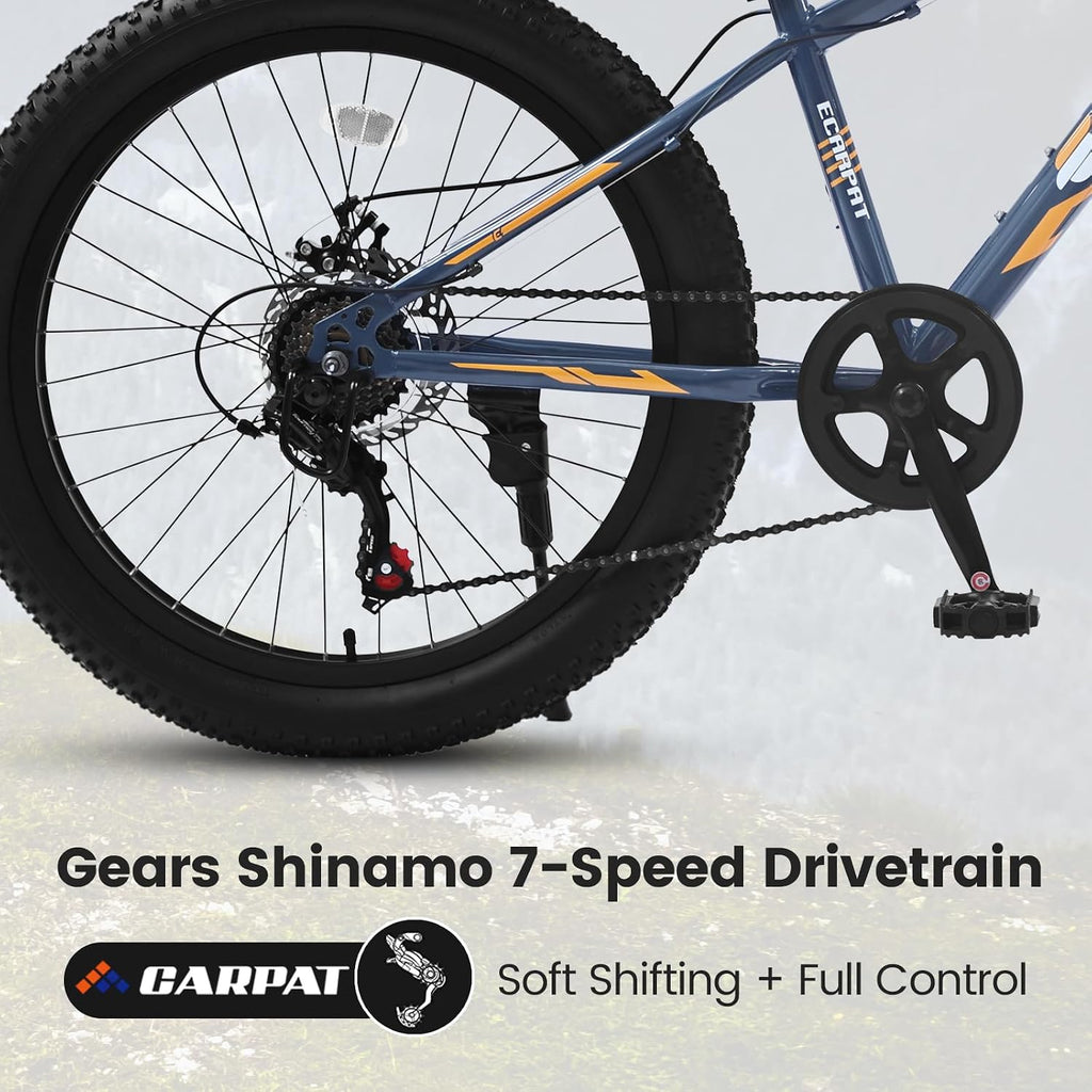 20/24/26 Inch Fat Tire Mountain Bike Variable Speed Dual Disc Brake Kids Adult Free Return