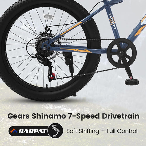 20/24/26 Inch Fat Tire Mountain Bike Variable Speed Dual Disc Brake Kids Adult Free Return