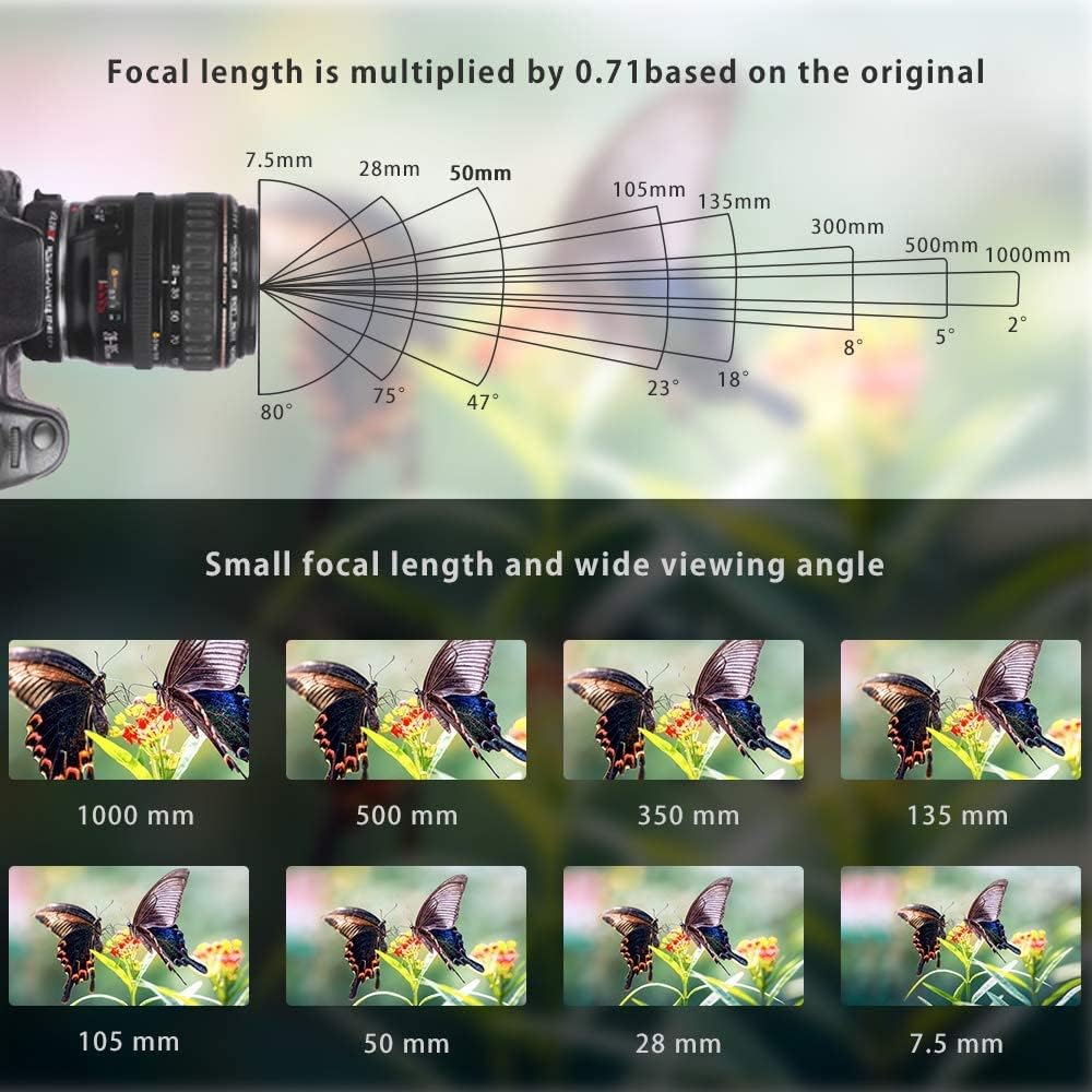 VILTROX EF-M2II Lens Adapter, EF to M4/3 Mount Auto-Focus Speed Booster Adapter for GH6 GH5M2 BMPCC 4K GH4 GH5 G100 G95 G85 OM-1 EM-1 E-M1X E-M1 iii E-M5 iii E-M10 iv E-M10 iii