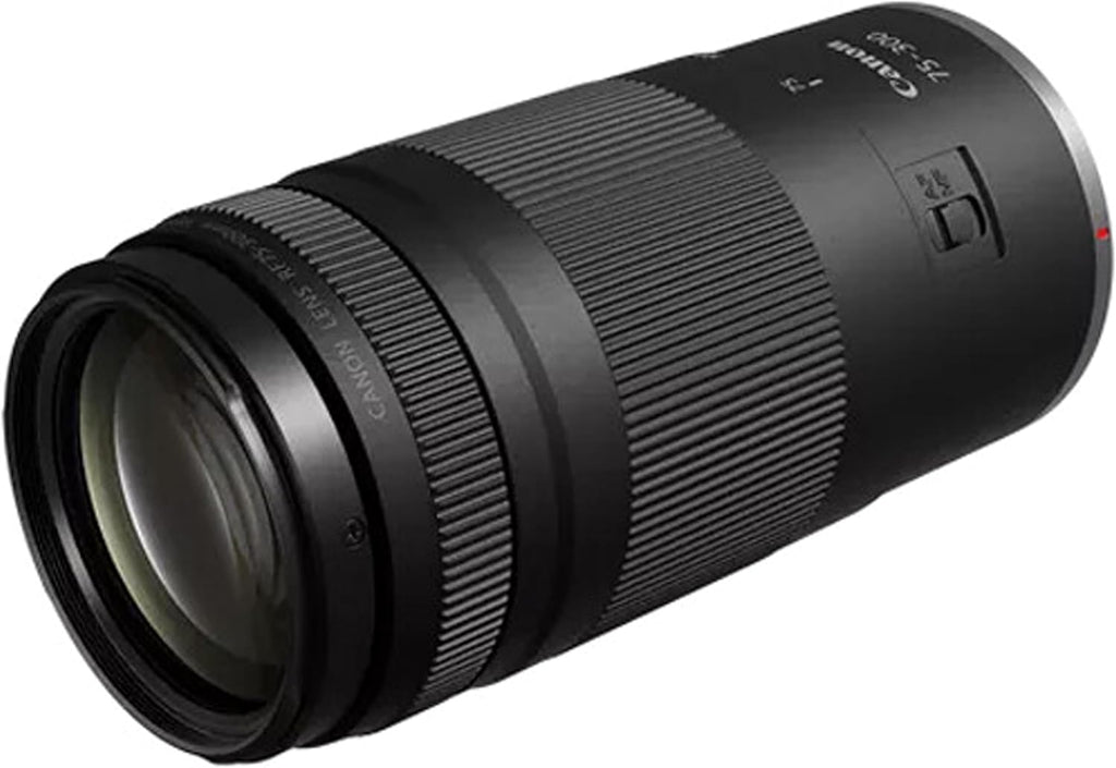 Canon EOS R6 Mark II Mirrorless Camera with 24-105mm & 75-300mm + 420-800mm Super Telephoto Lens + 128GB Extreme Memory, LED Video Light, Filters- 40pc Pro Bundle (Renewed)