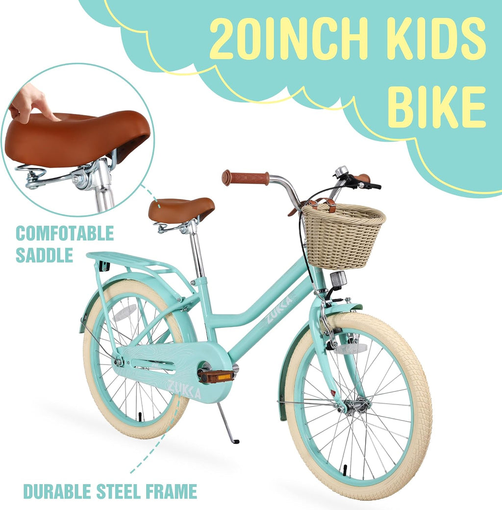 MEGHNA Cruiser Bike 20 inch/24 inch Wheels Girls Women Bike Single Speed Commuter Bike with Basket V-Brake and Coast Brake Women Ladys Bicycle, Multicolors