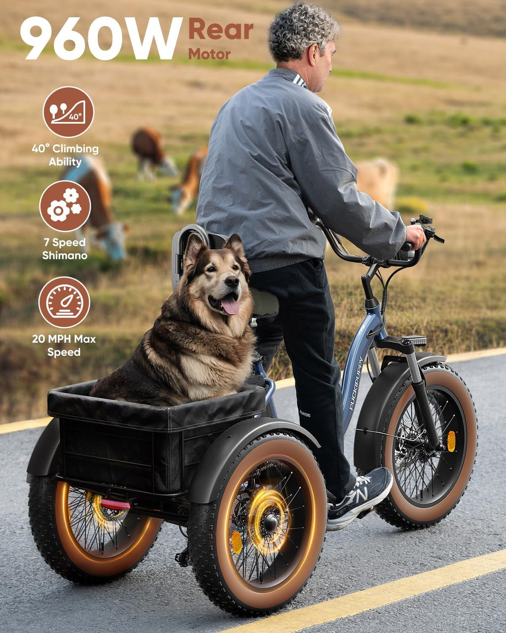 Electric Tricycle for Adults, 20' Fat Tire 3 Wheel Electric Trike with 960W Rear Motor, 25MPH Cargo Tricycle with 2 Basket, Differential for Safety, 48V 648Wh Removable Battery Ebike 55Miles Range