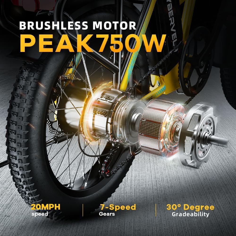 Folding Electric Bike, Removable Large Capacity Battery Ebike,Fat Tire Adult E-Bik,Long Range, Long-lasting Ebike