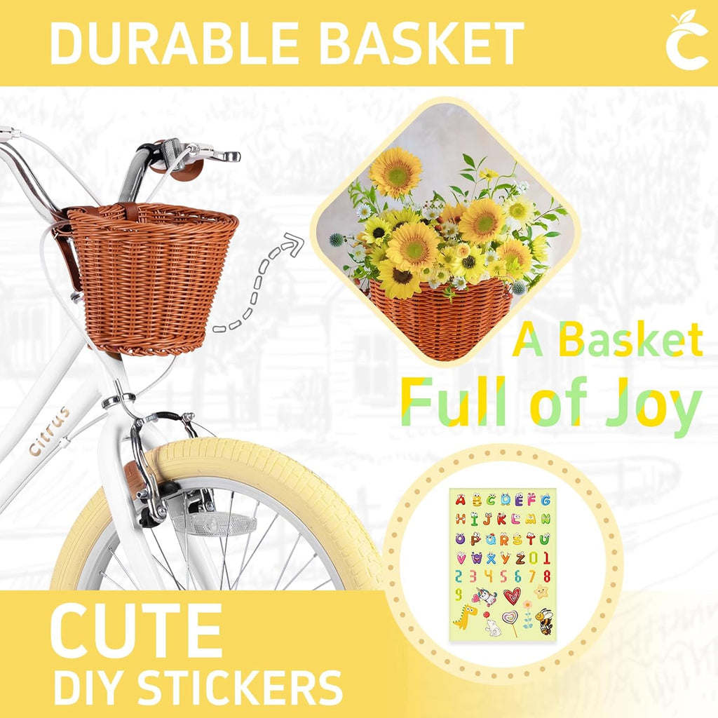 vollsch Girls Bike for Age 2-12 Years Old Kids Toddlers 12 14 16 18 20 Inches Retro Bicycles with Training Wheels Basket Bell Ring, Multiple Colors