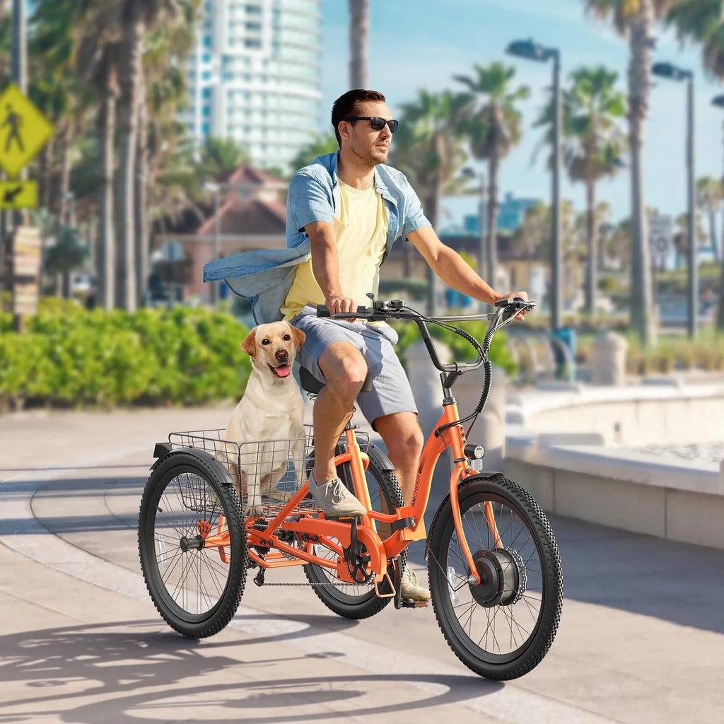 ANCHEER Electric Tricycle for Adults, 350W(Peak 550W) Etrike, 48V/499Wh Ebike, 24' Folding 3 Wheel Electric Trike, 15.5MPH & 55Miles Electric Bike, Rear Differential, Rear Basket