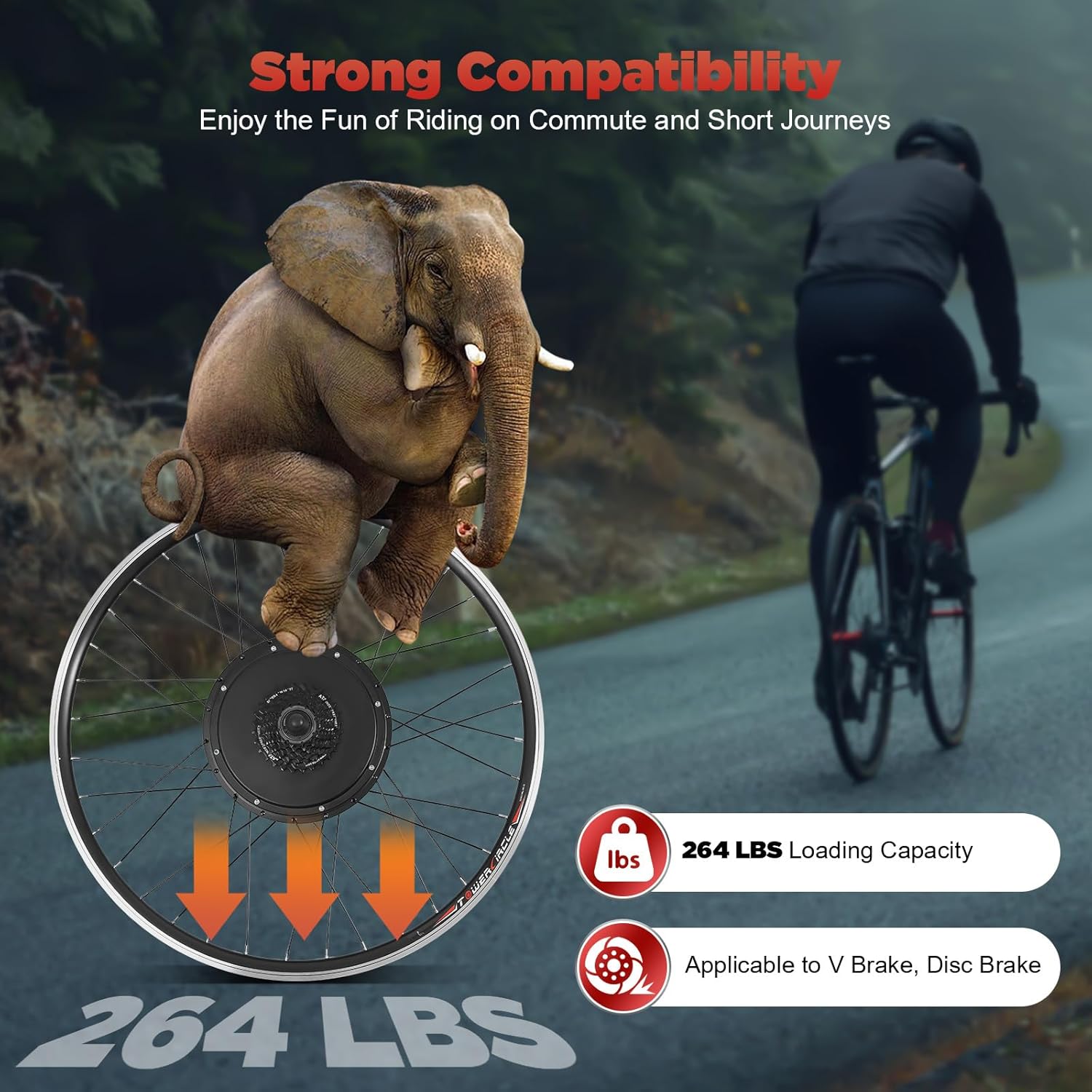 48V 1000W E-Bike Conversion Kit, 28'/29''/700CC Rear Wheel E-Bike Motor Kit w/Brushless Gearless Motor/Dual Mode Controller/PAS/Display, 5-Speed Adjustable, Compatible Universal Disc & V-Shaped Brakes