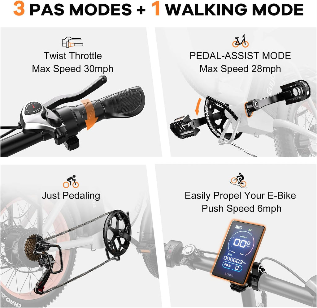1000W Folding Electric Bike,48V 20AH Removable Battery E Bike,80 Miles Max Range Electric Bike for Adults,20' Fat Tire Foldable ebike,Adult Electric Bicycle for Commute Beach Snow