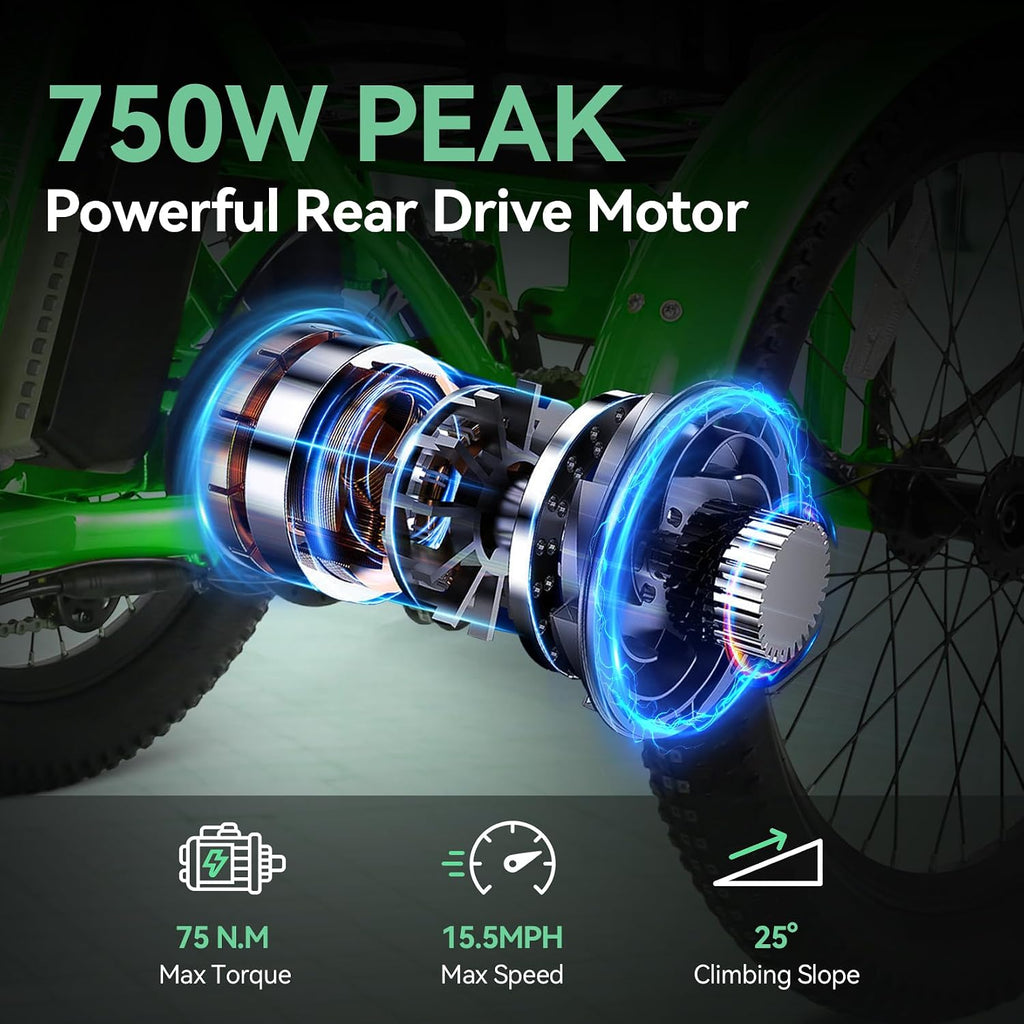 Vivi 750W Peak 20'' Folding 3 Wheels Electric Bicycle Bikes, 48V 10.4Ah Removable Battery Electric Tricycle for Adults, Speed Differential, 15.5MPH Eletric Trike with Bracket