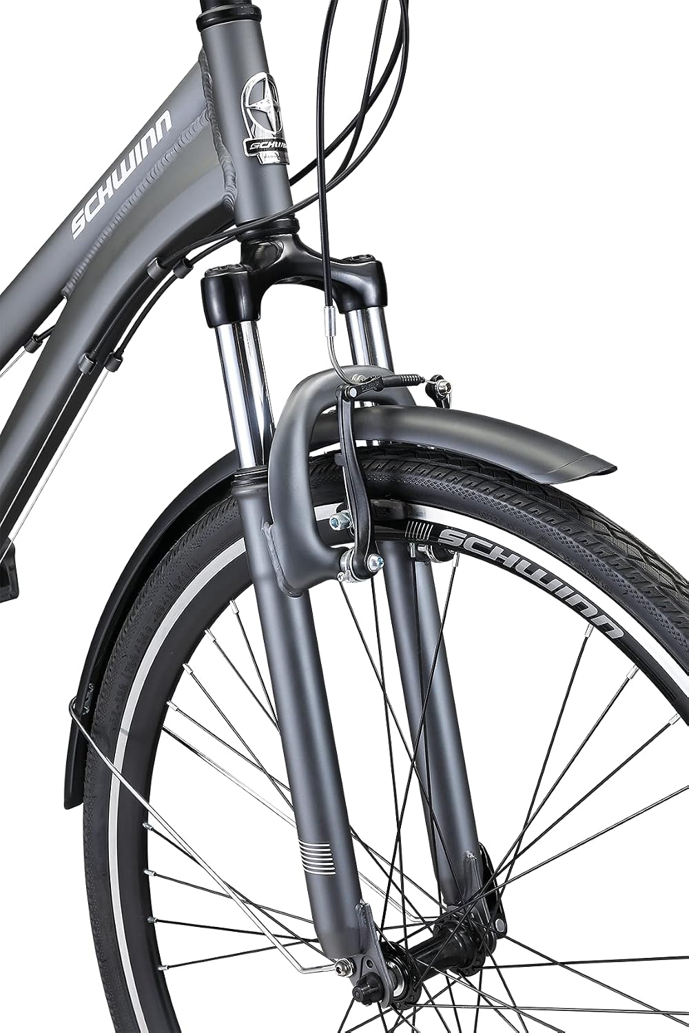 Schwinn Discover