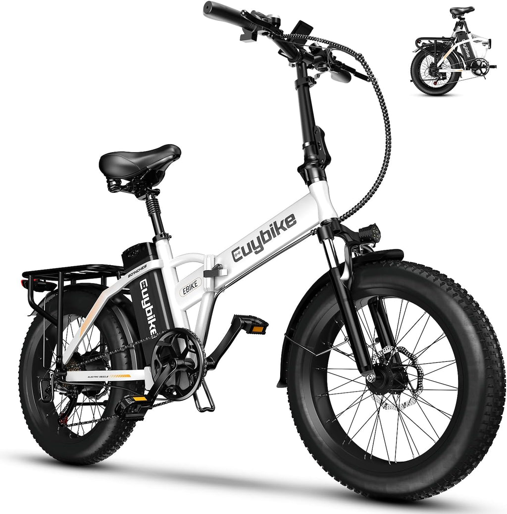 1000W Folding Electric Bike,48V 20AH Removable Battery E Bike,80 Miles Max Range Electric Bike for Adults,20' Fat Tire Foldable ebike,Adult Electric Bicycle for Commute Beach Snow