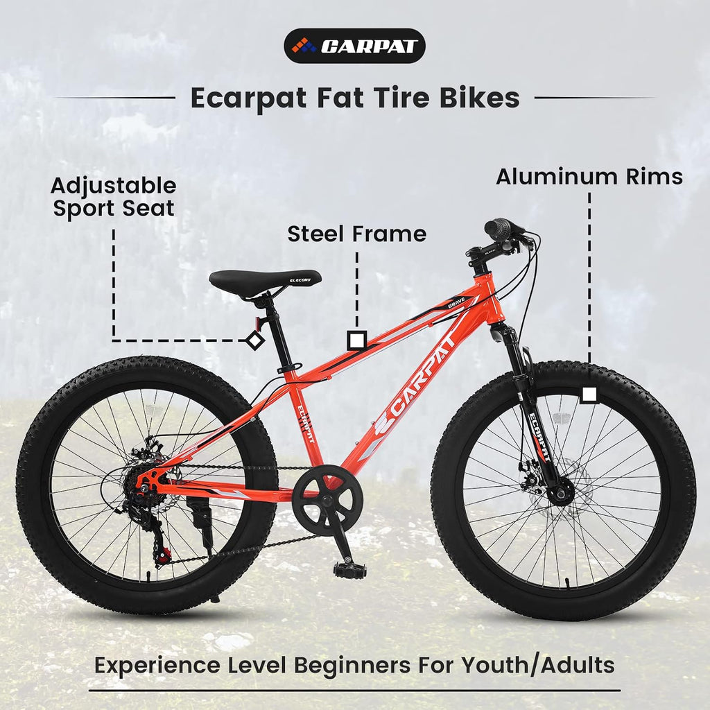 20/24/26 Inch Fat Tire Mountain Bike Variable Speed Dual Disc Brake Kids Adult Free Return