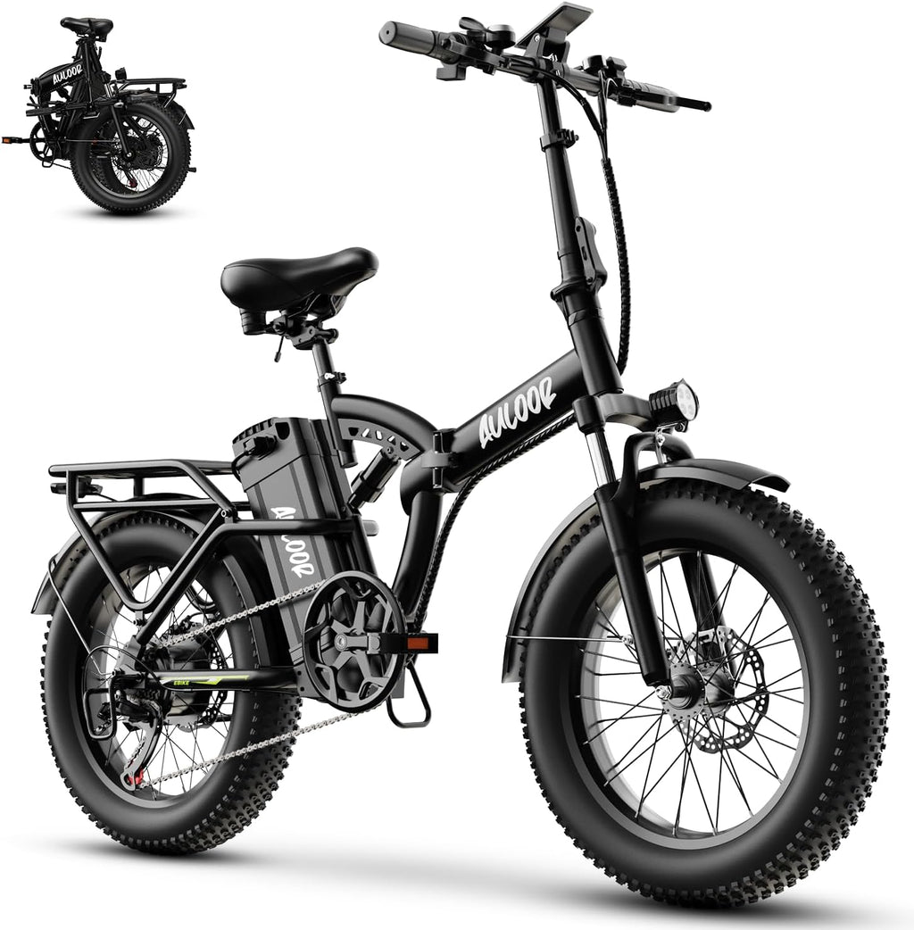 1000W Folding Electric Bike,48V 20AH Removable Battery E Bike,80 Miles Max Range Electric Bike for Adults,20' Fat Tire Foldable ebike,Adult Electric Bicycle for Commute Beach Snow