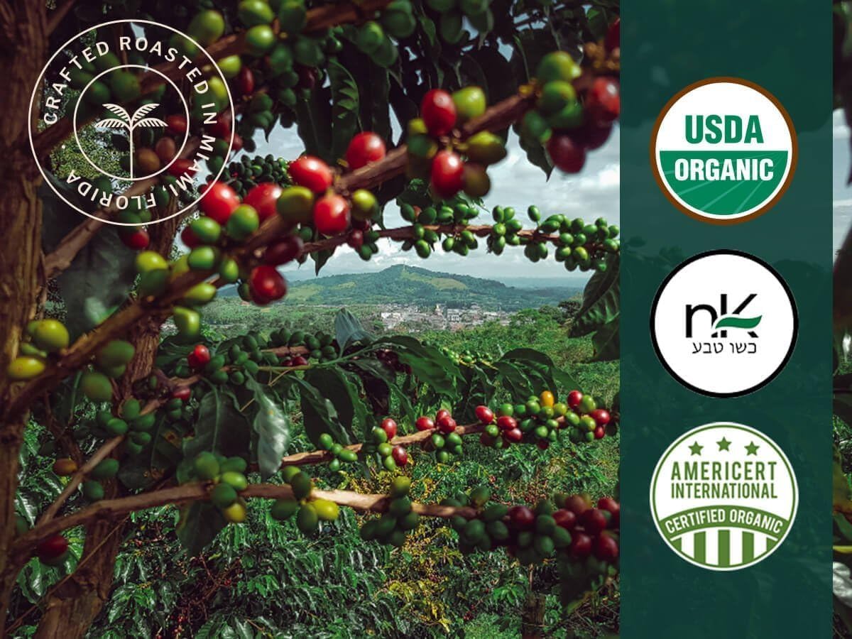 Artizan Coffee USDA Organic Espresso Coffee Capsules For Nespresso Original | Heavenly Project | 120 Compatible Compostable Pods