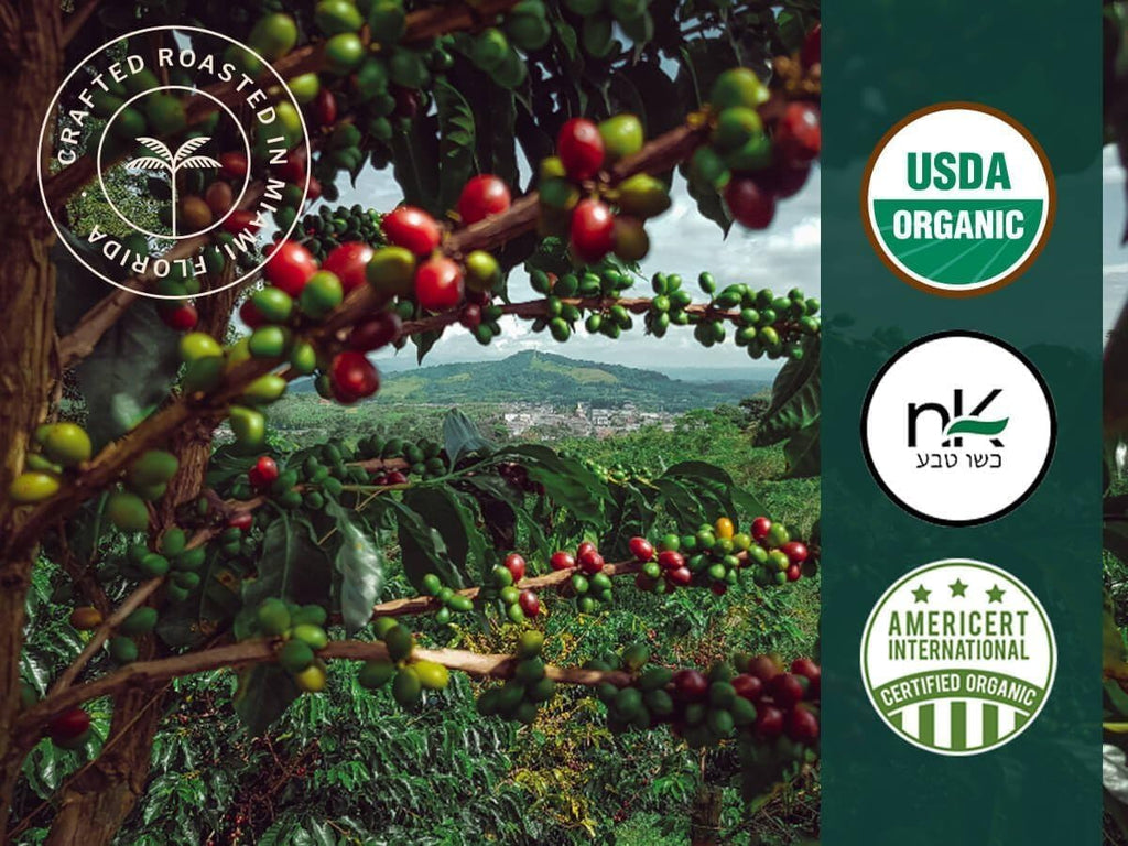 Artizan Coffee USDA Organic Espresso Coffee Capsules For Nespresso Original | Rhino Project | 120 Compatible Compostable Pods