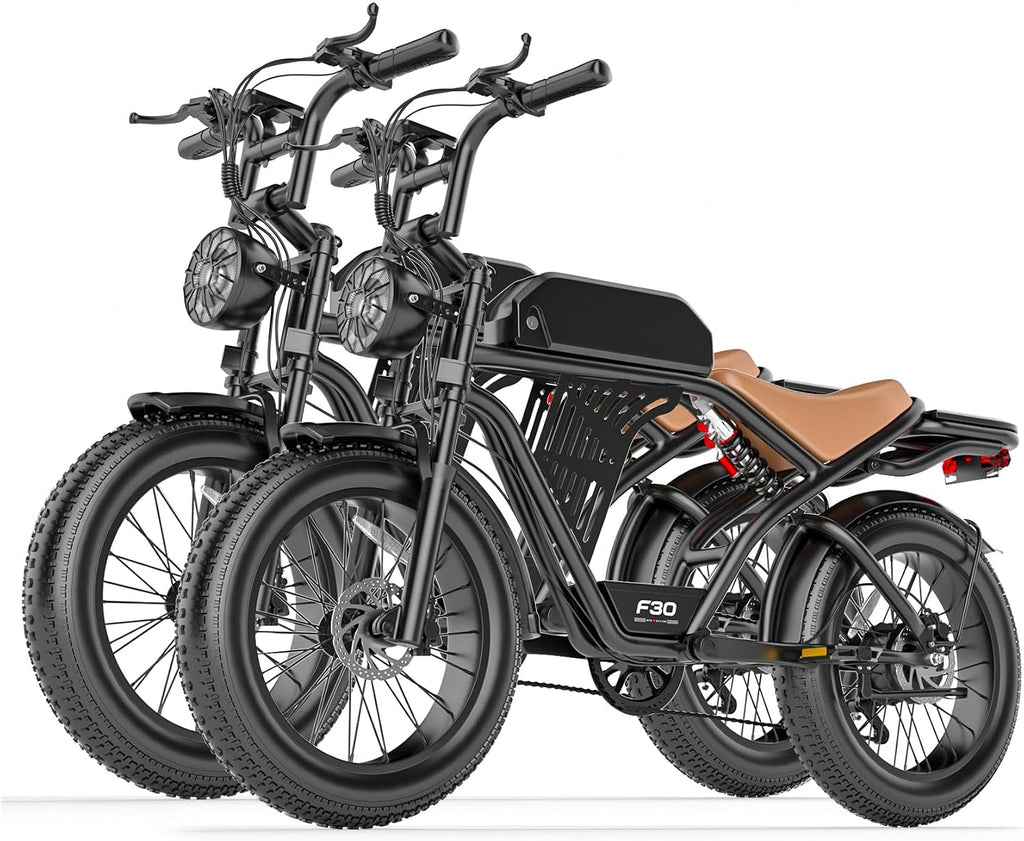 ASKGO Electric Bike for Adults, 2500W Peak Motor, 32MPH & 100 Miles, 48V 20Ah Large Battery, NFC & Password Unlock, Electric Dirt Bike with LCD, Dual Suspension & Brakes, 20' Fat Tire Off-Road Ebike