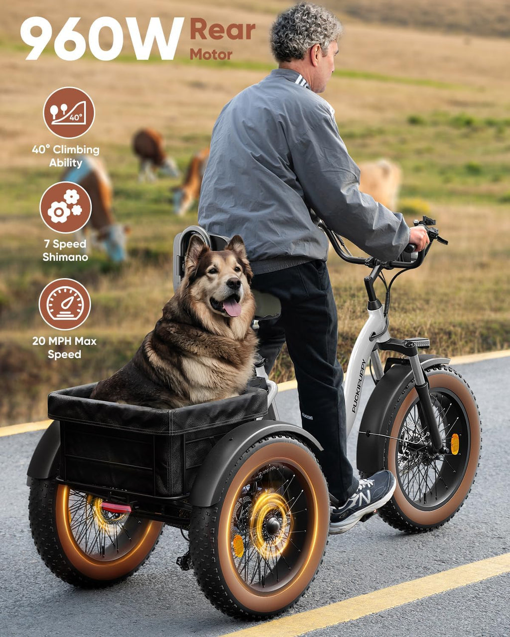 Electric Tricycle for Adults, 20' Fat Tire 3 Wheel Electric Trike with 960W Rear Motor, 25MPH Cargo Tricycle with 2 Basket, Differential for Safety, 48V 648Wh Removable Battery Ebike 55Miles Range