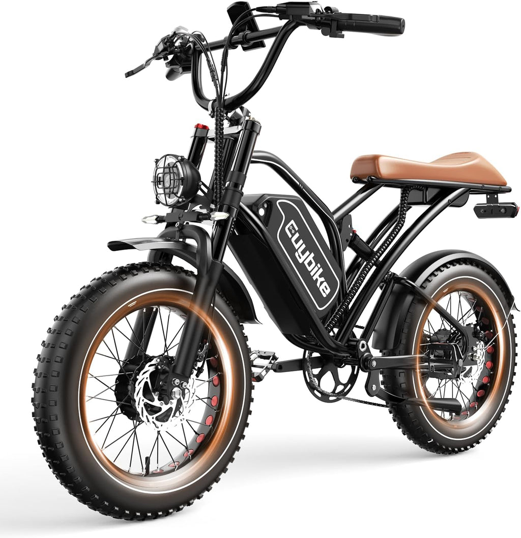 3000W/2000W Dual Motor/Single Motor Electric Bike for Adults, 48V 30AH/25AH Removable Battery Moped Style EBike, 30+MPH & 100 Miles 20' Fat Tires Electric Dirt Bike, Hydraulic Suspension Torque Sensor