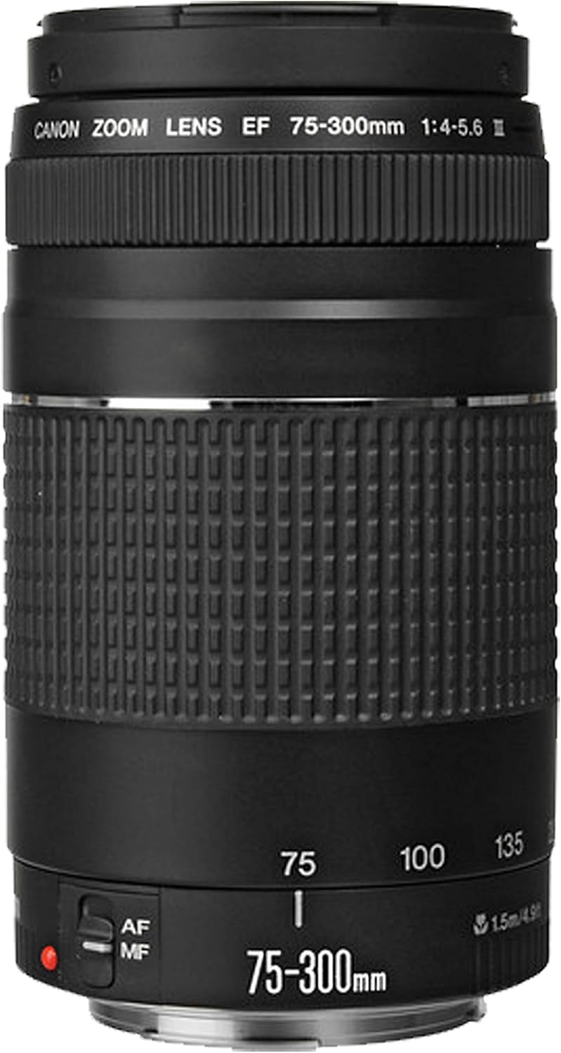 Canon EOS RP Camera Bundle with 24-50mm + 75-300mm + 420-800mm Super Telephoto Lens +128GB Extreme Speed, U-Grip, Microphone, LED Light, Spare Battery, Filter Kit, More (Extreme Pro-Bundle) (Renewed)