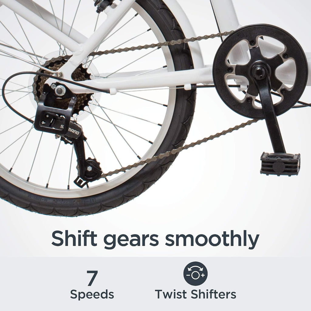 Schwinn Loop