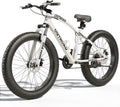 Betterland Outdoor 26 Inch Wheels Fat Tire Mountain Bike, 21-Speed Bicycle with Dual Front Suspension, High Carbon Steel Frame with Double Disc Brake and Anti-Slip Bicycle for Adults