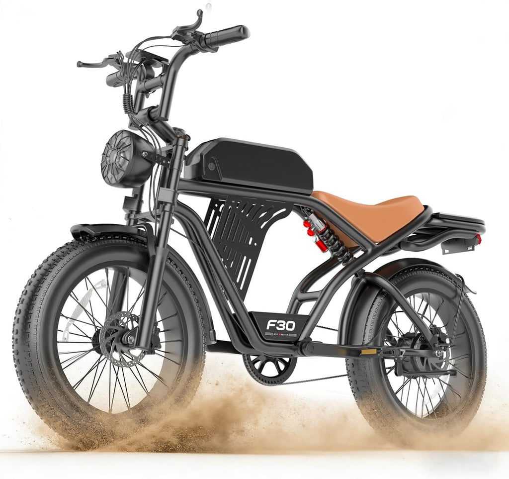 ASKGO Electric Bike for Adults, 2500W Peak Motor, 32MPH & 100 Miles, 48V 20Ah Large Battery, NFC & Password Unlock, Electric Dirt Bike with LCD, Dual Suspension & Brakes, 20' Fat Tire Off-Road Ebike