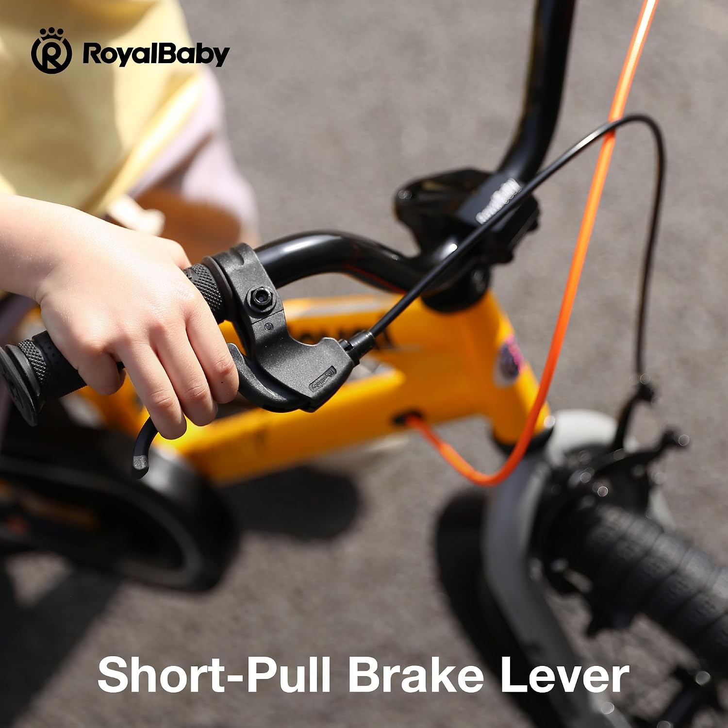 RoyalBaby EZ Kids Bike 12 14 16 18 20 Inch Balance Pedal 2-in-1 Training Bicycle Boys Girls Ages 3 to 12 Years Easy Learn for Beginners
