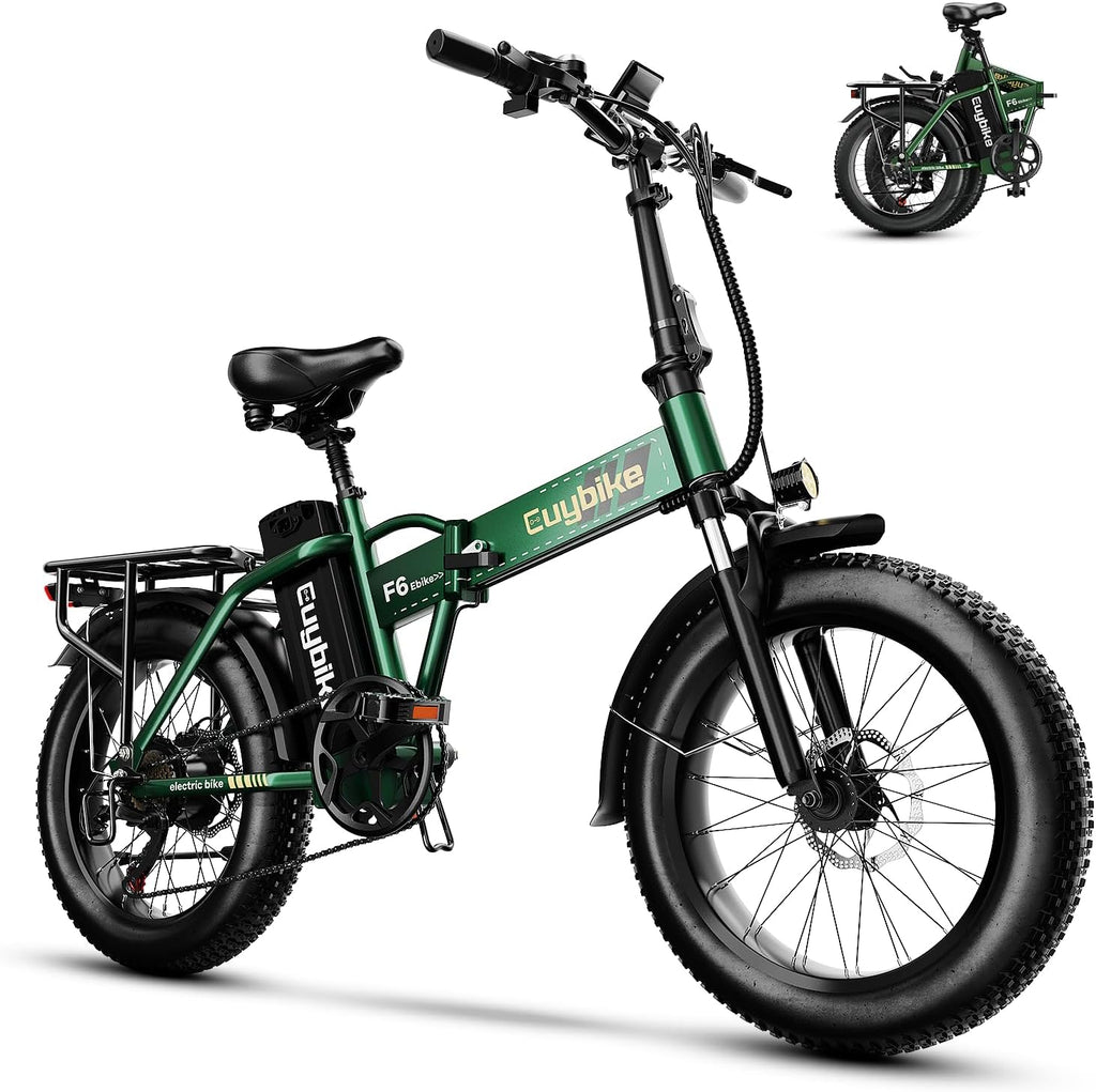 1000W Folding Electric Bike,48V 20AH Removable Battery E Bike,80 Miles Max Range Electric Bike for Adults,20' Fat Tire Foldable ebike,Adult Electric Bicycle for Commute Beach Snow