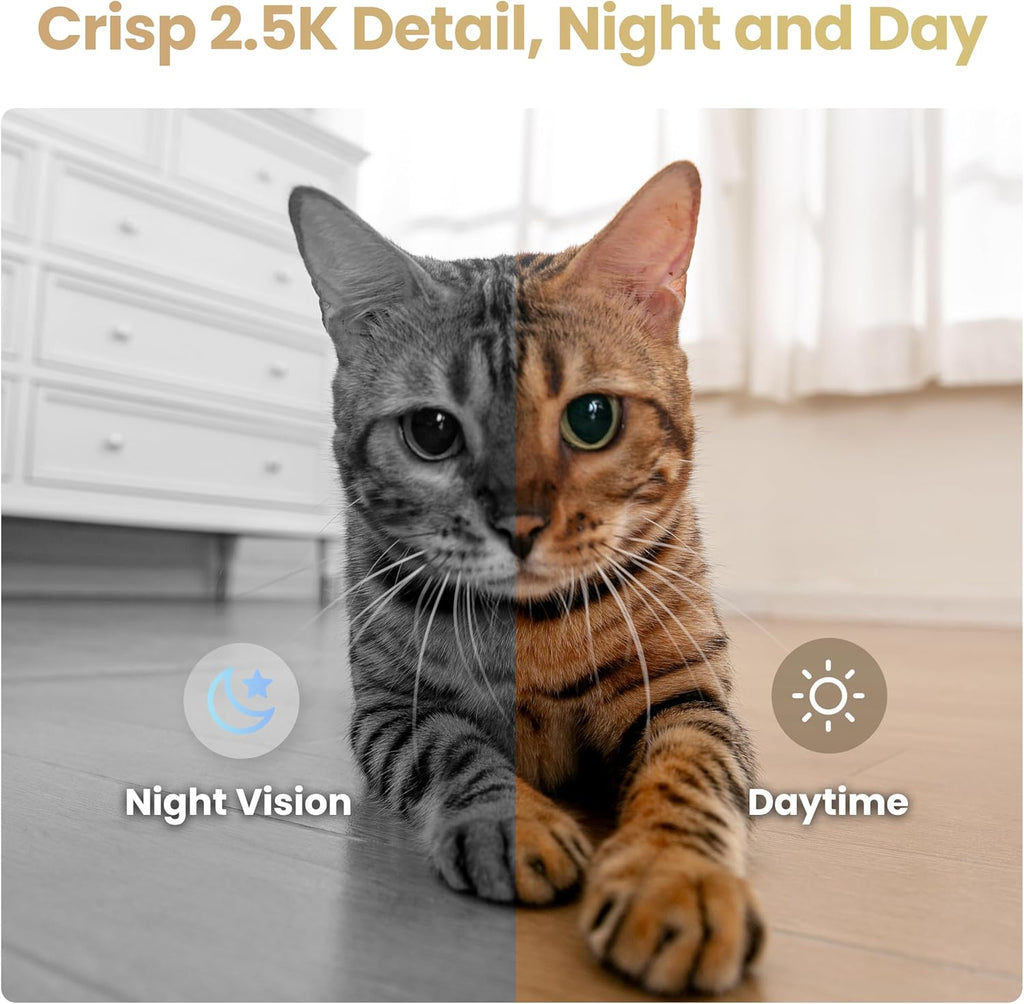 Enabot EBO Air 2S FamilyBot Home Robot Camera: 2.5K Indoor Pet Cam, Movable Robot Camera, 2-Way Video, Auto-Recharge, Long Battery Life, Custom Facial Image, Night Vision