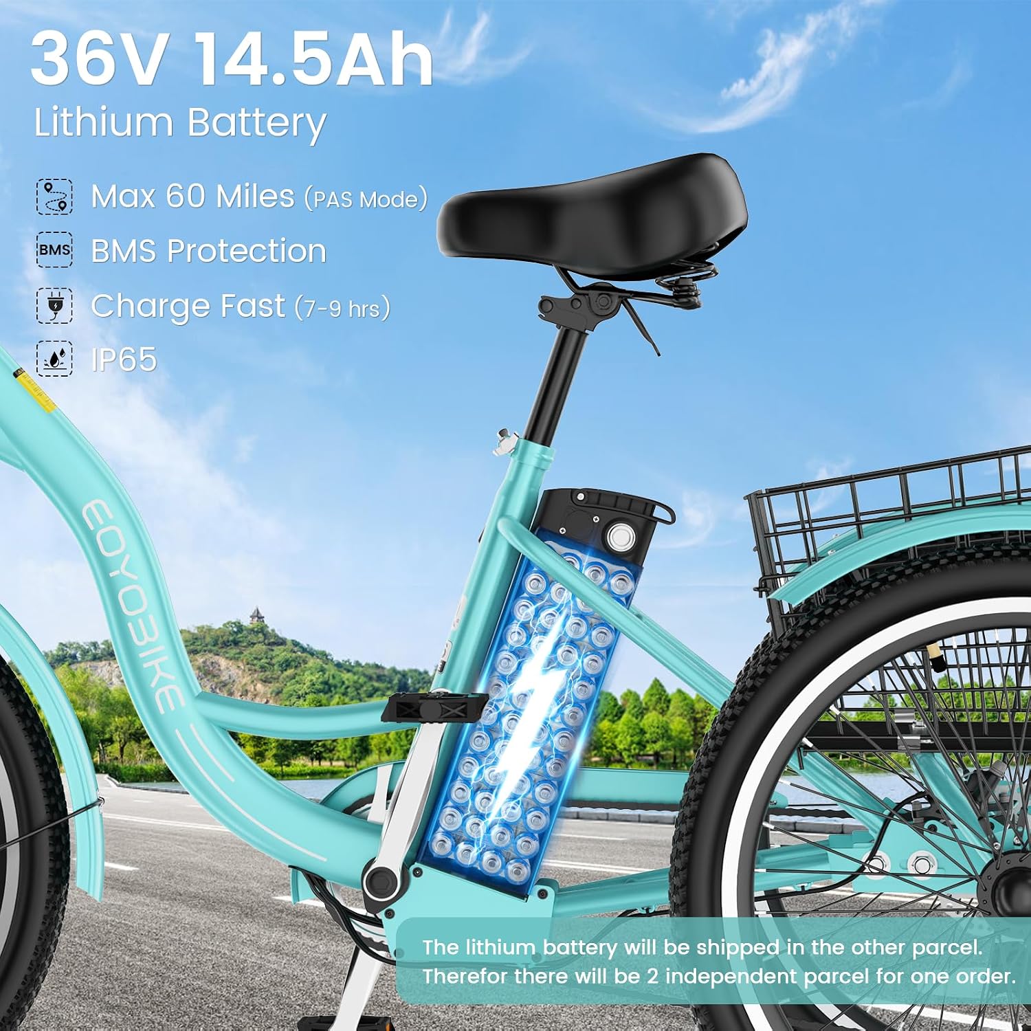 Electric Tricycle for Adults Seniors, 24/26 Inch 3 Wheel E-Trike, 350W Motor (700W Peak), Removable 36V Battery, Up to 15.5MPH, 25-60Mile Range, Low Step-Through, Rear Basket, 350lbs Capacity, 7 Speed