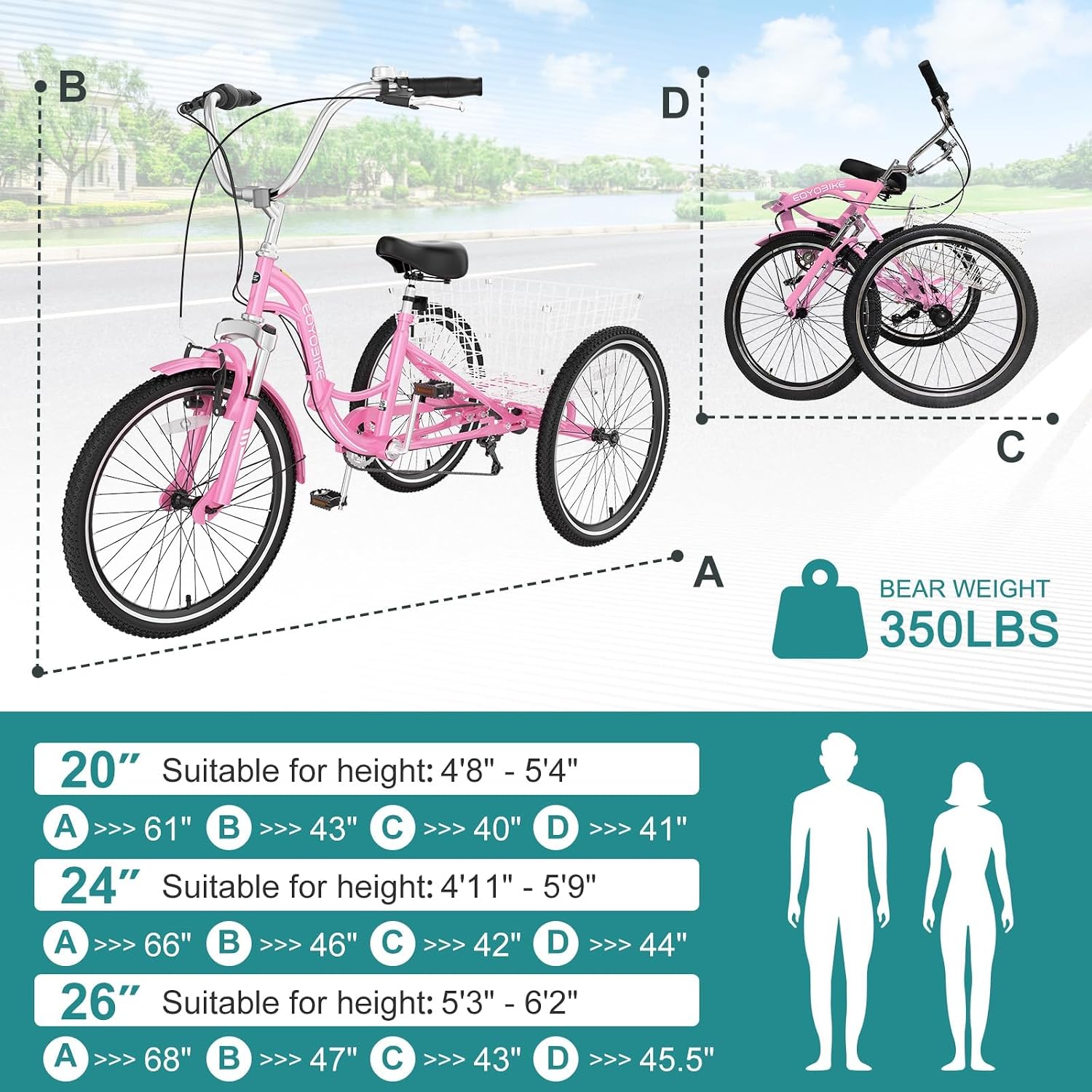 MOPHOTO Adult Folding Tricycle, 7-Speed 3 Wheel Bike for Adults, Seniors, Women & Men, 20/24/26 Inch Low Step-Through Trike with Large Rear Cargo Basket, Adjustable Seat, Space-Saving Cruiser Bicycle