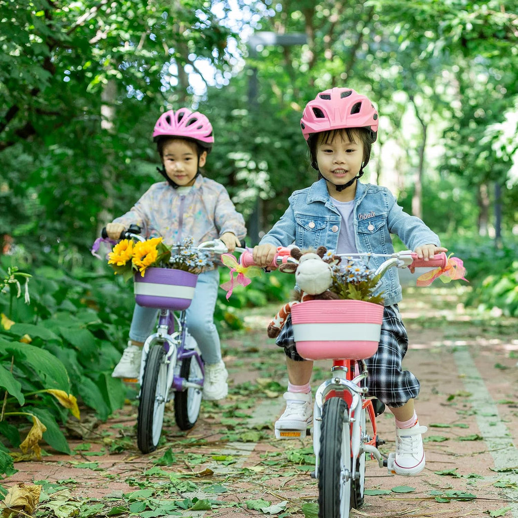 Royalbaby Princess Girls Kids Bike 12 14 16 18 20 Inch Children Bicycle with Basket for Age 3-12 Years