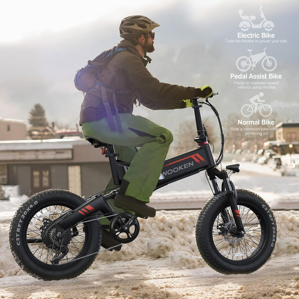 TotGuard Electric Bike,20' Electric Bike for Adults 500W Brushless Motor, 19.8MPH Fat Tire Ebike,Foldable Adult Electric Bicycles with 48V 10Ah Removable Battery,7-Speed,SGS Certified to UL 2849