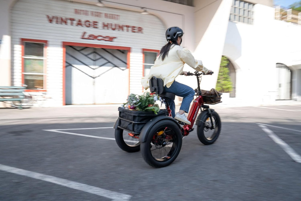 PUCKIPUPPY Electric Tricycle for Adults, Husky VS Other Models