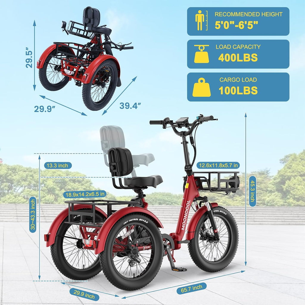 NAIZEA Electric Bike for Adults - 750W(Peak 1100W), 48V 20AH Removable Battery,25MPH Ebike, 20' x 3.0 Fat Tire Electric Bike,3 Wheels Electric Bicycle Bikes with Basket for Women Men, 6-Speed