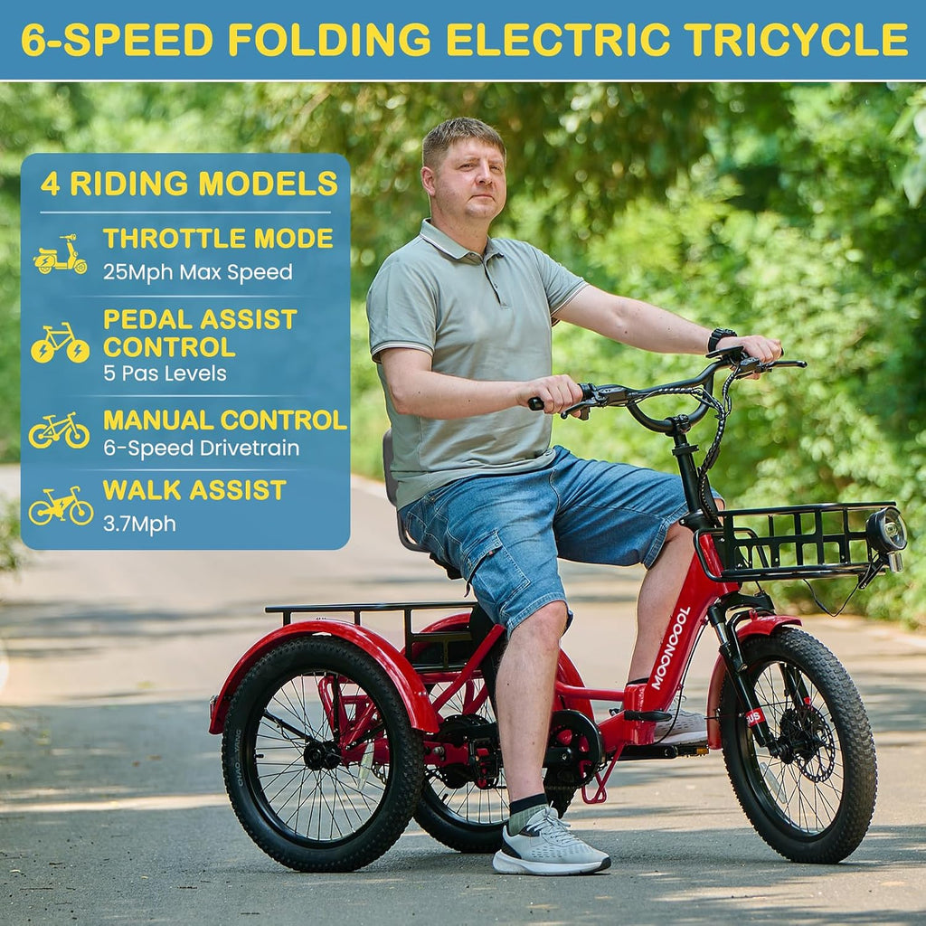 NAIZEA Electric Bike for Adults - 750W(Peak 1100W), 48V 20AH Removable Battery,25MPH Ebike, 20' x 3.0 Fat Tire Electric Bike,3 Wheels Electric Bicycle Bikes with Basket for Women Men, 6-Speed