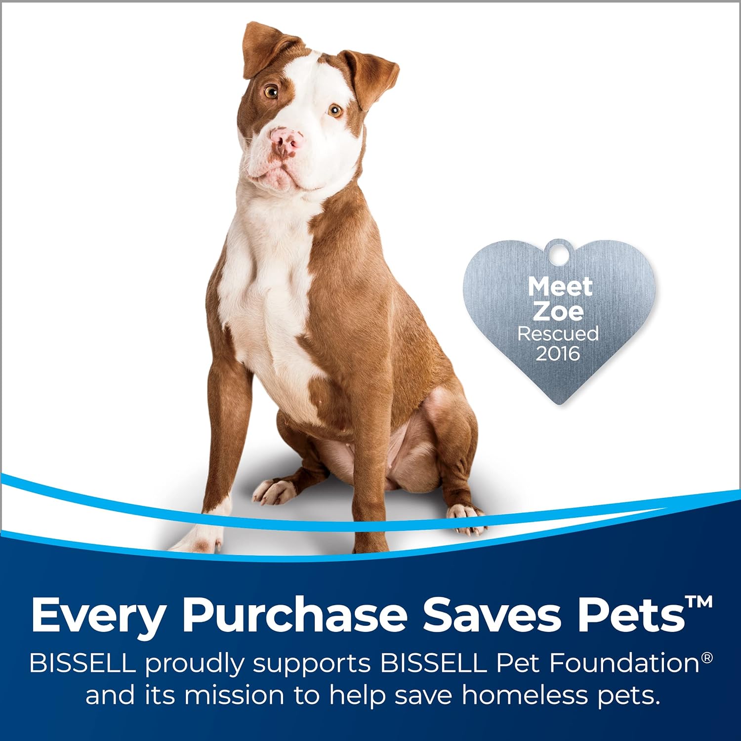 Bissell CleanView Swivel Pet Upright Vacuum, Swivel Steering for Maneuverability, Triple Action Brush Roll for Pet Hair, Large Capacity Dirt Tank & Scatter-Free Tech, 2252