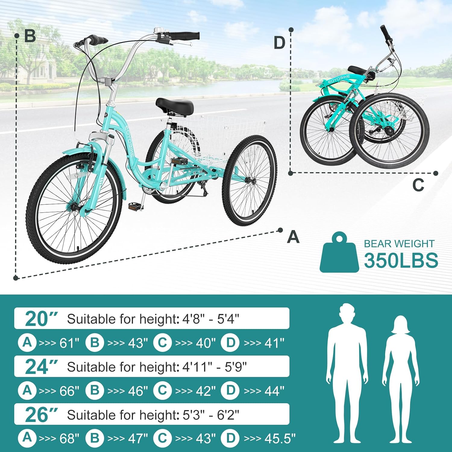 MOPHOTO Adult Folding Tricycle, 7-Speed 3 Wheel Bike for Adults, Seniors, Women & Men, 20/24/26 Inch Low Step-Through Trike with Large Rear Cargo Basket, Adjustable Seat, Space-Saving Cruiser Bicycle