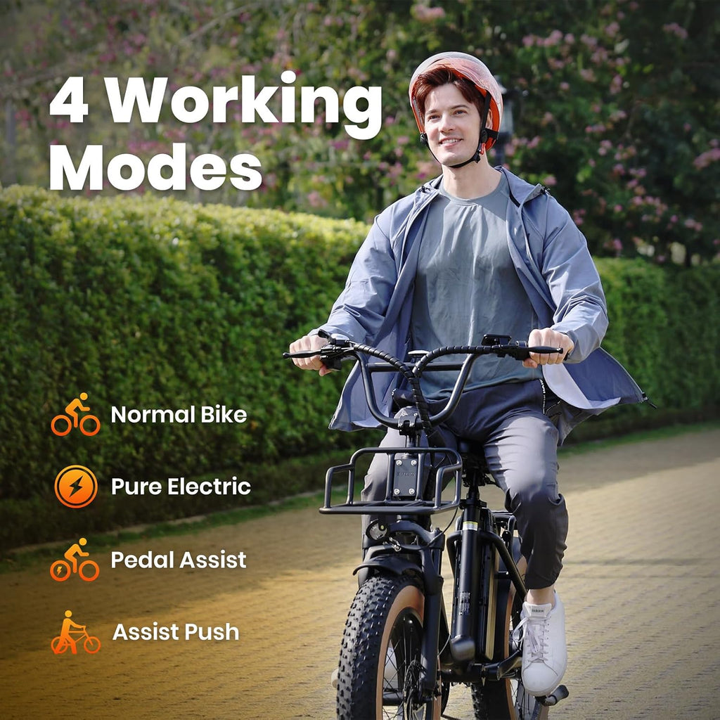 Baicycle 1800W Peak Electric Bikes for Adults 20' Fat Tire E Bike with 90 Miles(PAS) Max Range 28 MPH Electric Bicycle Step-Thru Ebikes with 48V Removable Battery 7 Speed Ebike