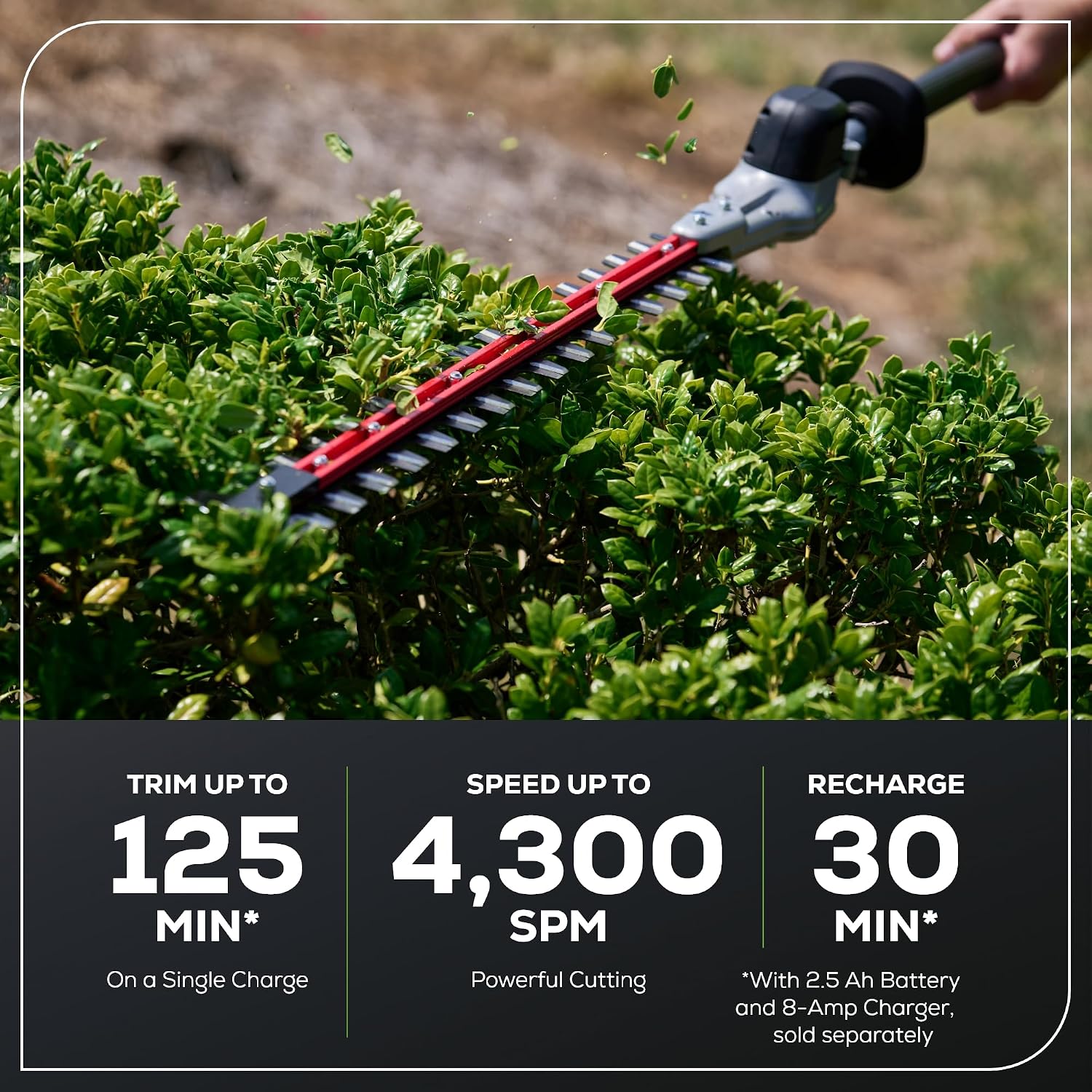 Greenworks 82V 24' Brushless Cordless Fixed Mid Pole Hedge Trimmer, 2.5Ah Battery and Dual Port Rapid Charger (Great for Landscapers and Professionals)