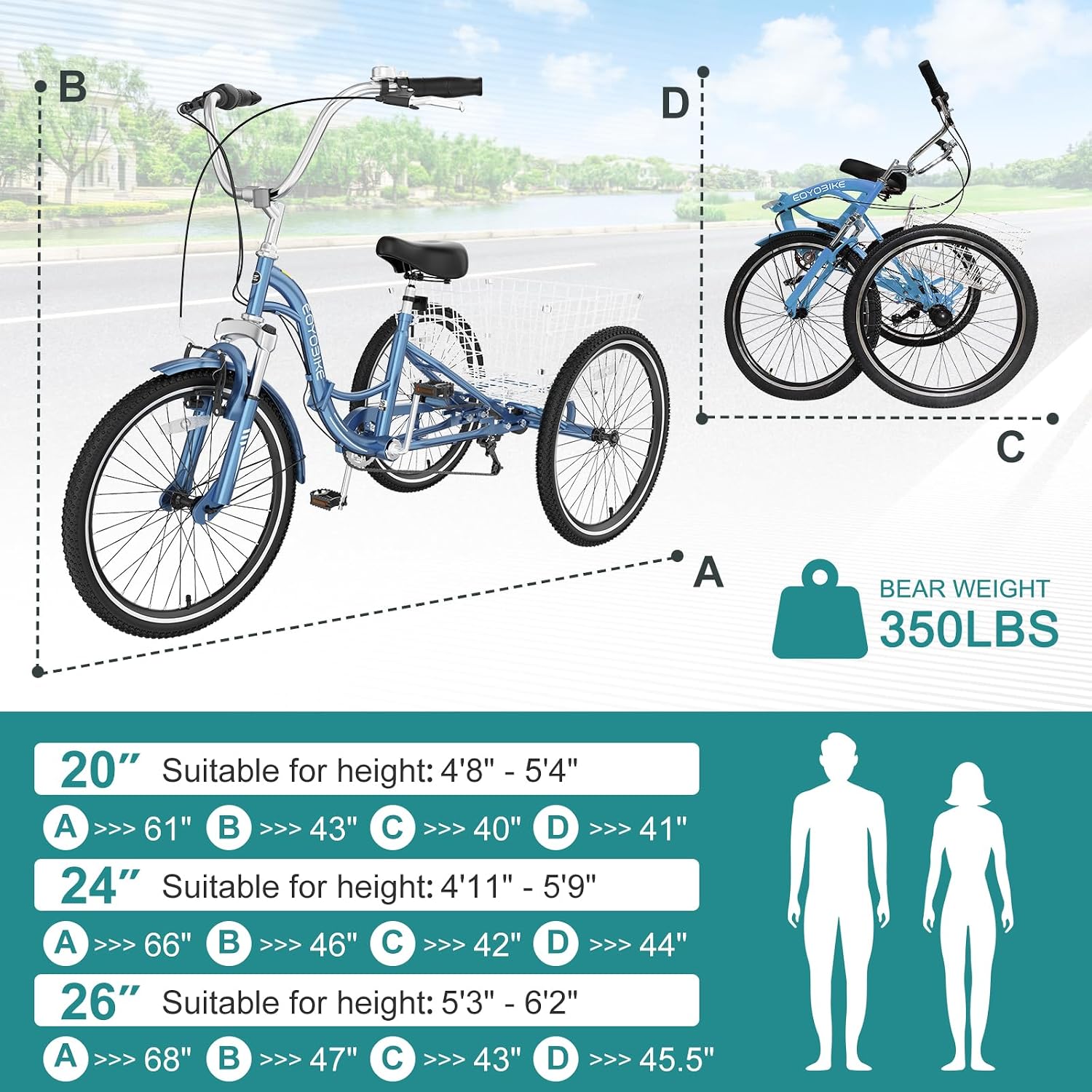 MOPHOTO Adult Folding Tricycle, 7-Speed 3 Wheel Bike for Adults, Seniors, Women & Men, 20/24/26 Inch Low Step-Through Trike with Large Rear Cargo Basket, Adjustable Seat, Space-Saving Cruiser Bicycle