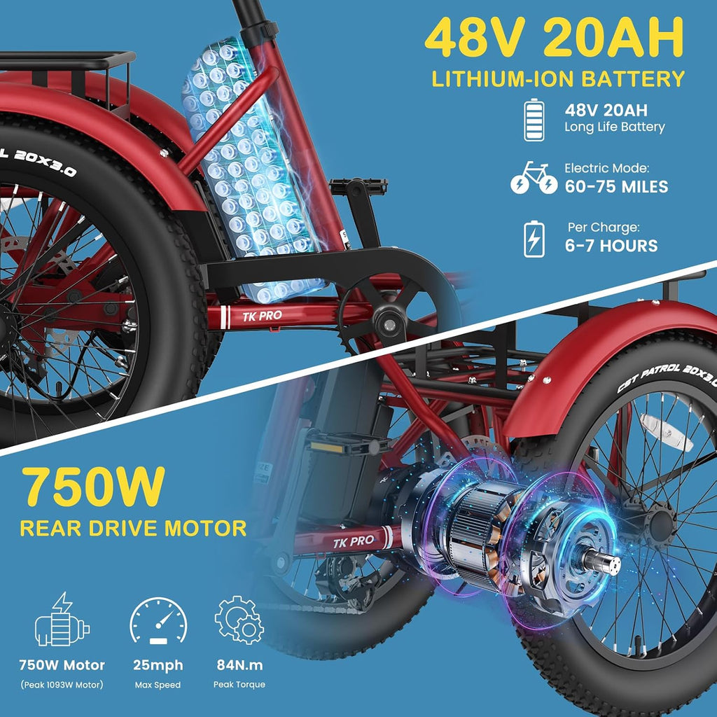 NAIZEA Electric Bike for Adults - 750W(Peak 1100W), 48V 20AH Removable Battery,25MPH Ebike, 20' x 3.0 Fat Tire Electric Bike,3 Wheels Electric Bicycle Bikes with Basket for Women Men, 6-Speed