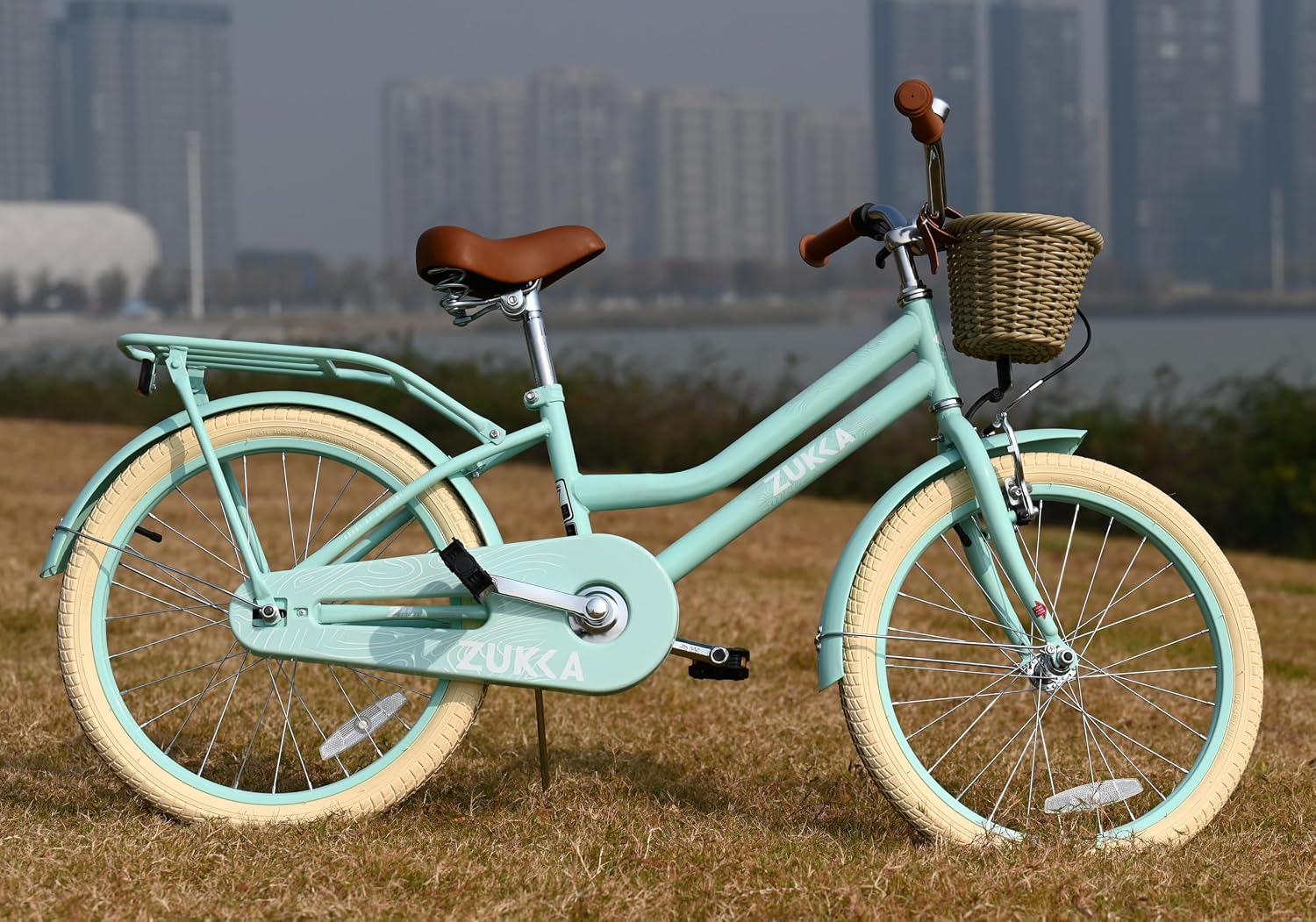 MEGHNA Cruiser Bike 20 inch/24 inch Wheels Girls Women Bike Single Speed Commuter Bike with Basket V-Brake and Coast Brake Women Ladys Bicycle, Multicolors