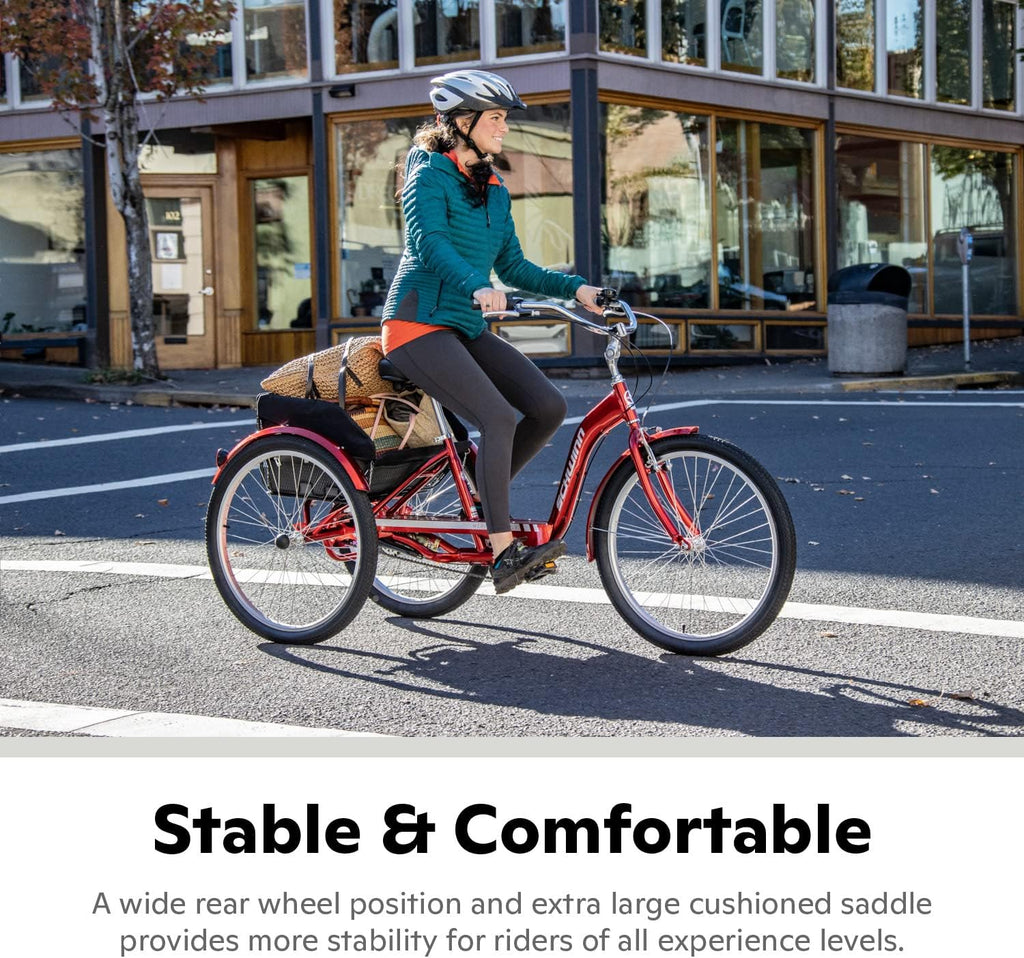 Schwinn Meridian