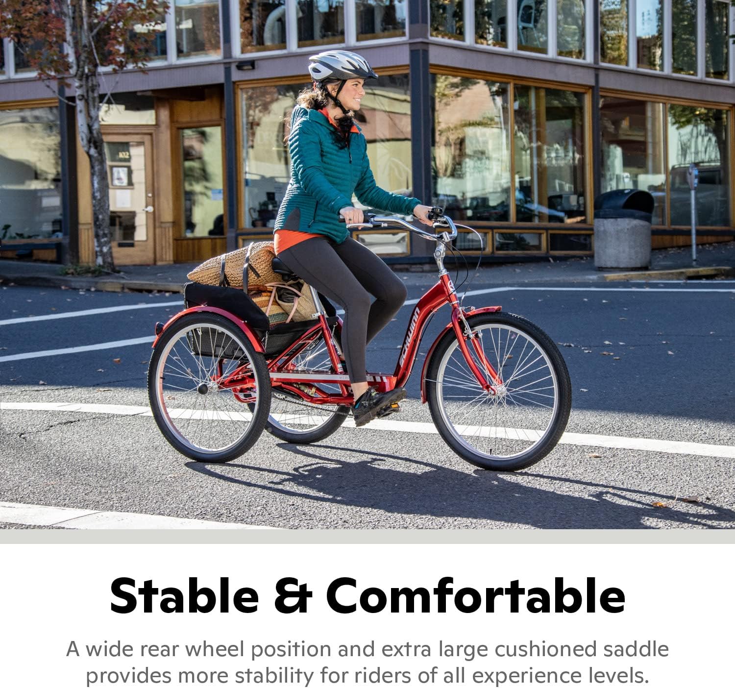 Schwinn Meridian