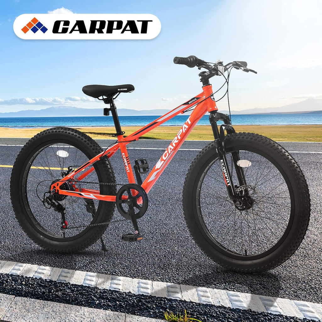 20/24/26 Inch Fat Tire Mountain Bike Variable Speed Dual Disc Brake Kids Adult Free Return
