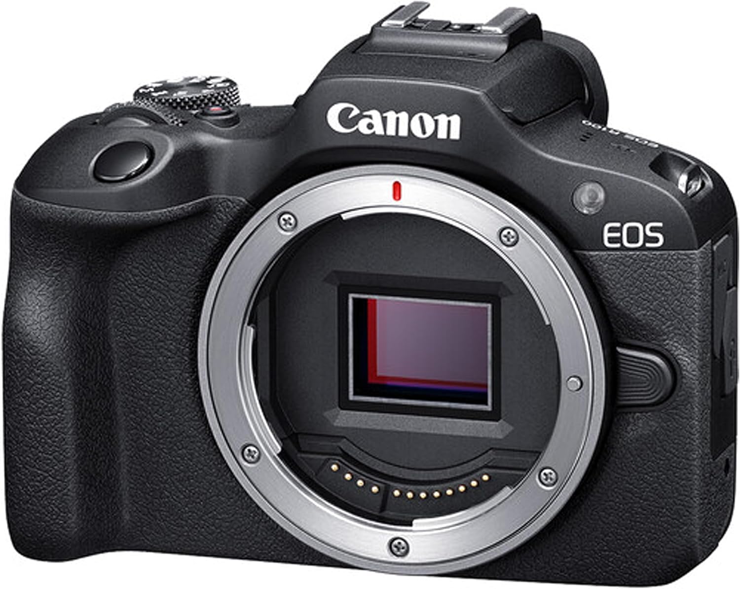 Canon EOS R100 Mirrorless Camera with 50mm Prime Lens + 64GB Memory Card, Case, Hood, Grip-Pod, Filter Professional Photo Bundle (Renewed)