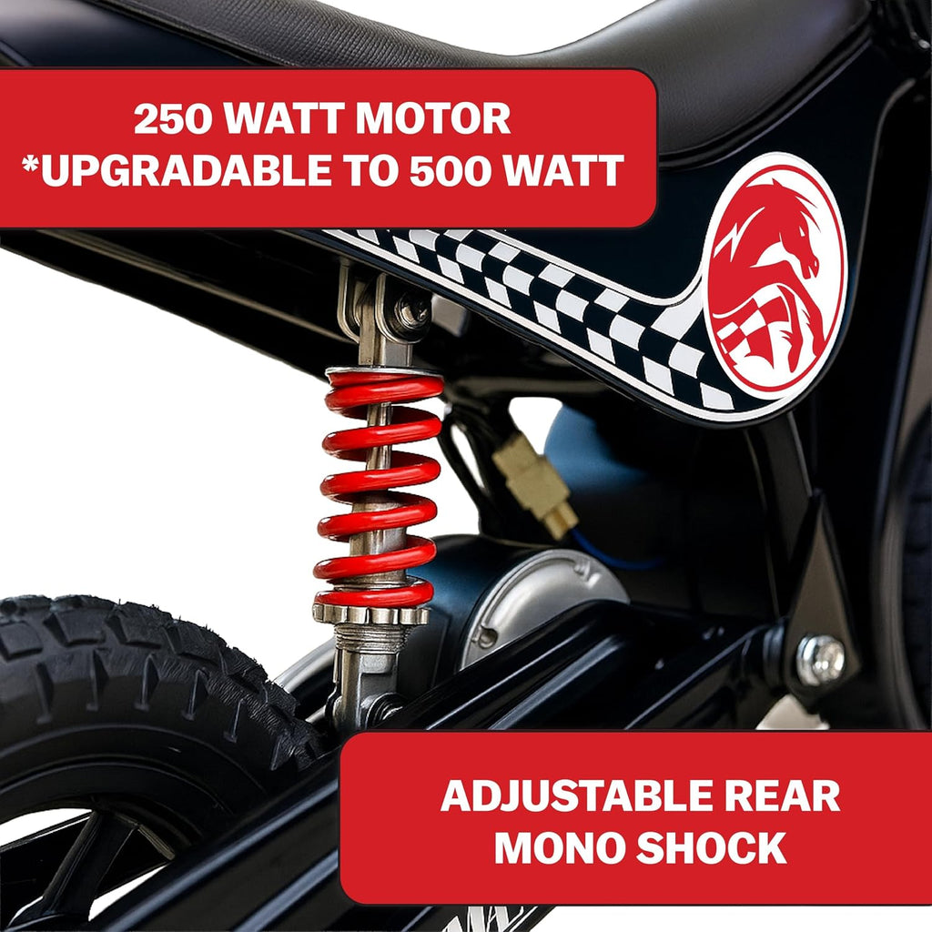 Burromax TT250 Electric Dirt Bike for Kids, 250w 24v 7ah, 2 Speeds, 14 Mph, Up to 150lb Rider, Off-Road Electric Mini Bike